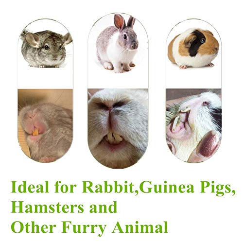 Kassbest Bunny juguetes para masticar dientes de bambú dulces palos de manzana mejora la salud dental de mascotas, aperitivos de hierba para conejos, cobayas, hámsters y animales pequeños