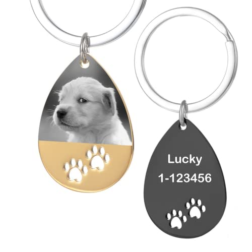 krui Collar Perro Personalizado con Nombre,Placas para Perros Grabadas,Collar Perro Personalizado,Chapa Perro Personalizada,Pajarita para Perros,Chapas para Perros (Oro)