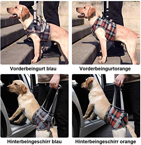 KZOBYD Arnés para perro de pierna trasera, ayuda para caminar, apoyo para mascotas, piernas, chaleco de soporte ajustable para la cadera para perros viejos y heridos (naranja, XL)