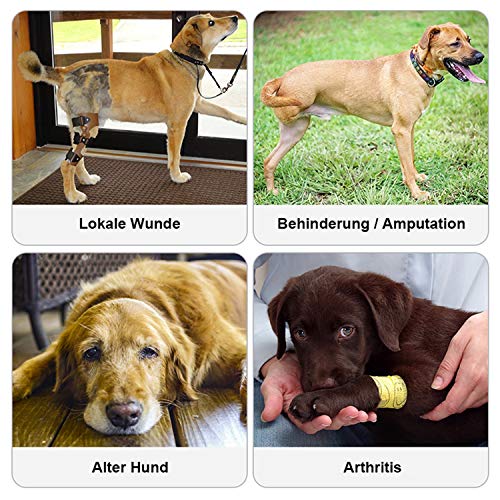 KZOBYD Arnés para perro de pierna trasera, ayuda para caminar, apoyo para mascotas, piernas, chaleco de soporte ajustable para la cadera para perros viejos y heridos (naranja, XL)