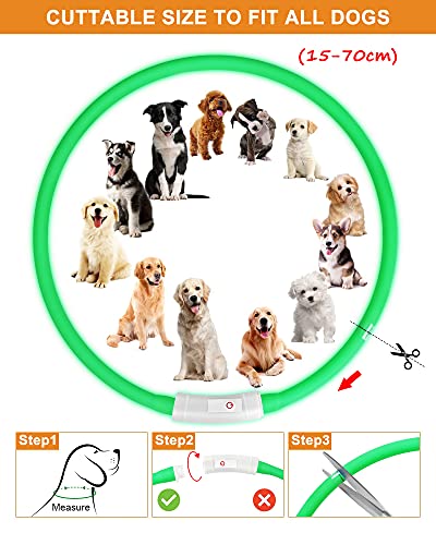 LED Collar Perro Collar de Seguridad, Collar de Perro de Mascota, Collar Luminoso Perro de Mascota, USB Recargable Collar de Seguridad para Mascotas Impermeable hasta (Verde)