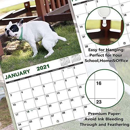 Lucidting Calendario de Perros de Caca, planificador de Pared de Llamadas de Naturaleza para Perros, Regalo Divertido para Amantes de los Perros (A, 14 * 21cm)