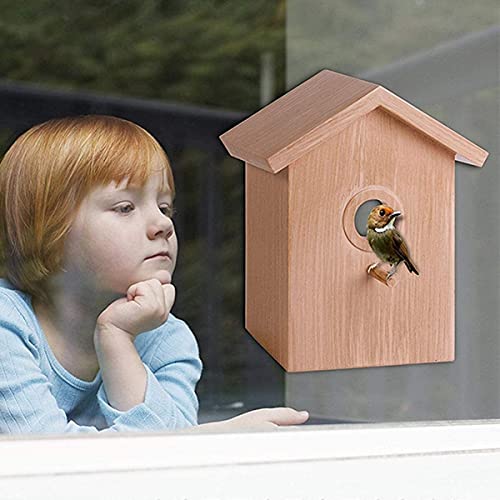 M3 Decorium Casa de Aves al Aire Libre en la Jaula de pájaros de Espejo con ventosas para observar la alimentación de Aves y la anidación