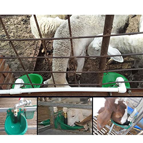 MagiDeal Cuencos Ganadero Abrevadero automático, Bebedero de Agua de Cuenco Plastico para Ovejas Cerdo Cabras Lechones Cochinillos - Válvula Plástico