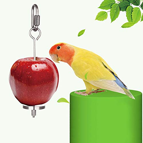 MEEQIAO 2 Piezas Pincho para Frutas y Verduras de Acero Inoxidable para Pájaros Herramienta para Alimentar a Loros, Periquitos, Cacatúas Cesta de Aperitivos