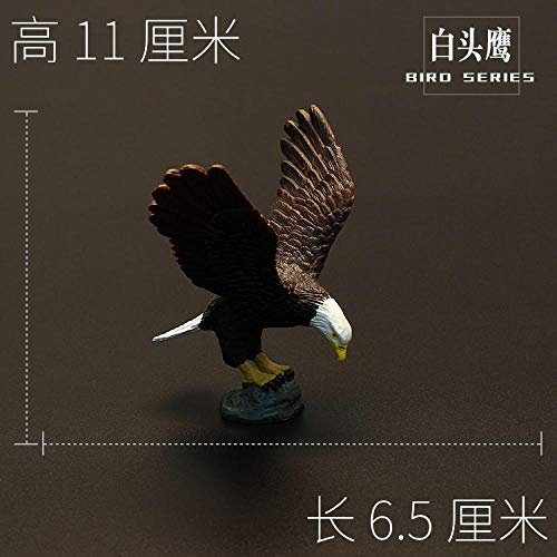Modelo Animal Conjunto Bird Animal del Pájaro del Juguete Cisne Águila Loro Cisne Zzib (Color : Budgies 2)