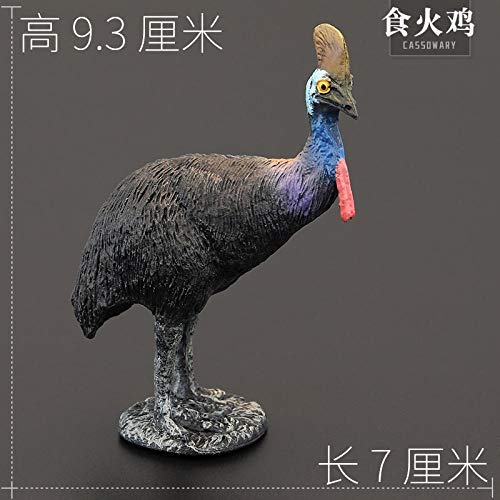 Modelo Animal Conjunto Bird Animal del Pájaro del Juguete Cisne Águila Loro Cisne Zzib (Color : Budgies 2)