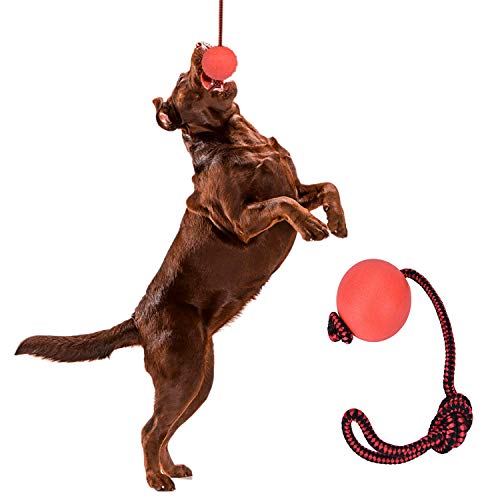 Nanxin 3 Pcs Pelota Goma Perro Bola de Juguete Masticar Goma de Mascota con la Cuerda para el Entrenamiento del Animal Doméstico del IQ Que Juega Masticando