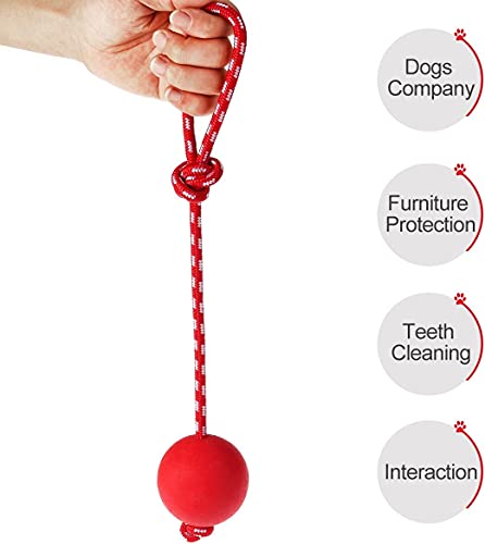 Nanxin 3 Pcs Pelota Goma Perro Bola de Juguete Masticar Goma de Mascota con la Cuerda para el Entrenamiento del Animal Doméstico del IQ Que Juega Masticando