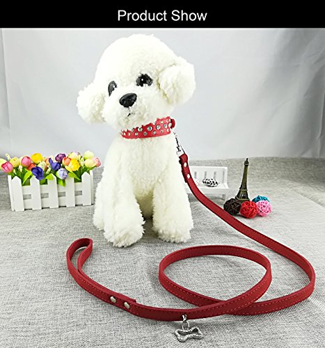 Newtensina Collar de Perro de Moda y Conjunto de Plomo Collar de Cachorros de Bling Collar de Perro Lindo Diamante con Correas