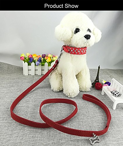 Newtensina Collar de Perro de Moda y Conjunto de Plomo Collar de Cachorros de Bling Collar de Perro Lindo Diamante con Correas