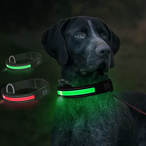 Nobleza - Collares LED para Perros, Collar Luminoso Perro de Mascota 3 Modos Collar Perro Luz con Recargable y Impermeable, Ajustable Collares LED para Pequeños Medianos Perros