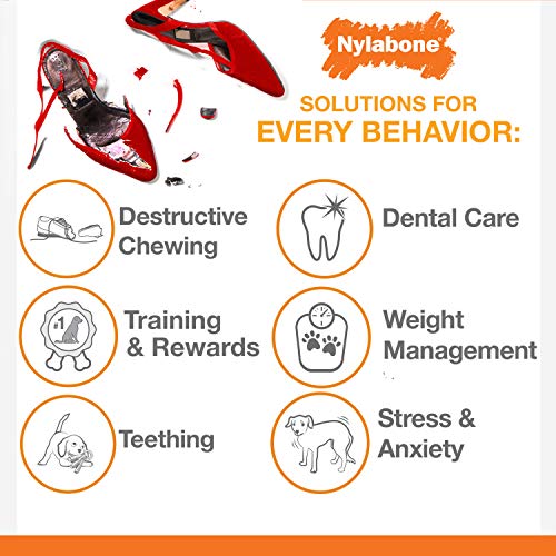 Nylabone - Dental Chew
