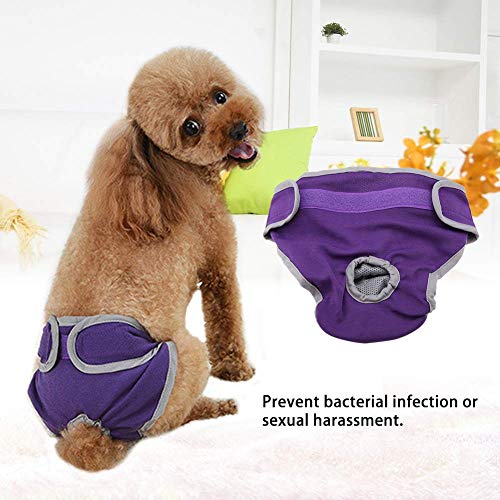 Oumefar Pantalón fisiológico Reutilizable para Perros Ropa Interior para Perros pañal Sanitario para Mascotas Pantalones Cortos Sanitarios Bragas para Perros Femeninos y Masculinos(M-Púrpura)