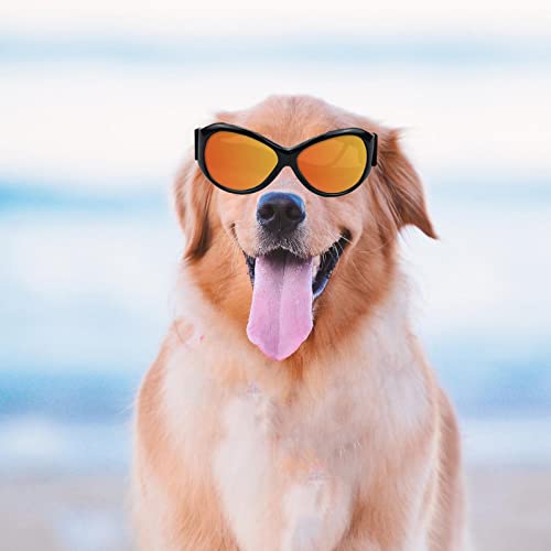P Prettyia Gafas para Perros Mascota Pequeña Raza Mediana Gafas Impermeables Gafas Accesorios para Fotos - Marco Negro Lente roja