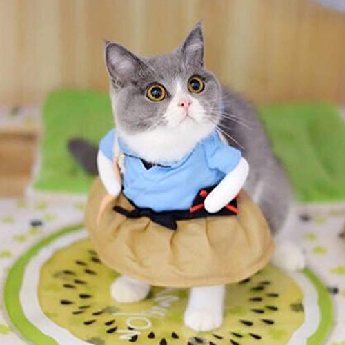 PANPAN - Disfraz de uniforme para gato, disfraz de gato, ropa para cachorro, ropa de fiesta para gato, cosplay, tamaño: S (Urashima Taro)