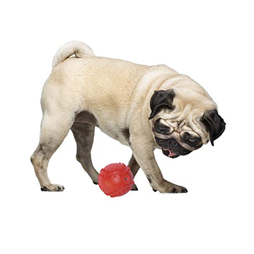 Pelota para Perros Gloria - Tamaño 6 cm - Consistente y Duradera - Juguete para Perros - Pelota Béisbol para Perros - para Botar y Lanzar - Color Variado