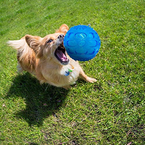 Pelota Perro Pelota De Juguete para Perros Pelota Squeak para Mascotas Juguetes De Sonido Impermeables Dientes De Goma Bolas Limpias para Pequeñas Opciones Medianas: Colores Aleatorios