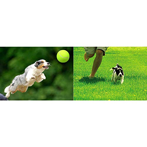 Pelotas De Tenis del Perro De Perrito del Lanzador De Pelota De Juguete Chucker Deporte Juego para Mascotas para Las Lecciones De Práctica Las Máquinas Que Lanzan