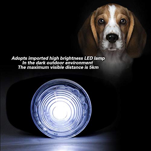 Perro LED Luminoso Collar Impermeable ABS Mascota Noche Anti-perdida Collar Iluminado Collar Ajustable Mascotas Collar Luz Adorno para Perro Regulable (Blanco)