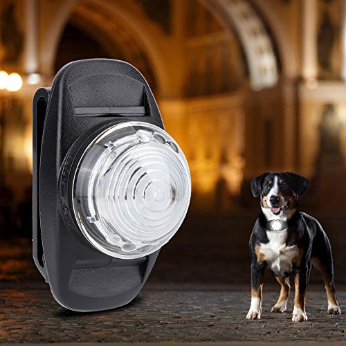 Perro LED Luminoso Collar Impermeable ABS Mascota Noche Anti-perdida Collar Iluminado Collar Ajustable Mascotas Collar Luz Adorno para Perro Regulable (Blanco)