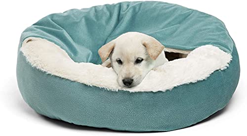 Peswety Cuddle - Cama para perro, cama para gatos, funda mediana para mascotas, lavable y suave, manta de terciopelo redonda (59,6 cm), color verde