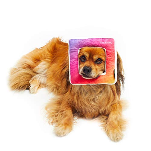 Pet London Insta Square Frame Dog Toy #Selfie Social Media Photo Parody Dog Toy – 7 pulgadas multicolor suave peluche perro juguete