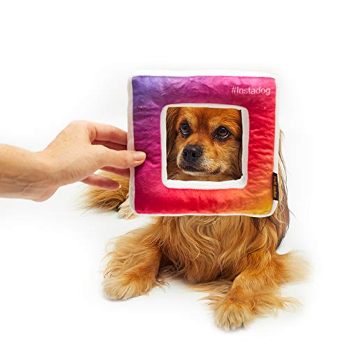 Pet London Insta Square Frame Dog Toy #Selfie Social Media Photo Parody Dog Toy – 7 pulgadas multicolor suave peluche perro juguete