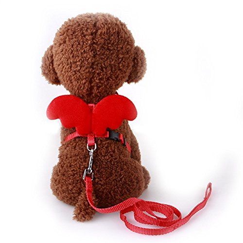 Pet Online Ángulo de arnés de perro mascota protector transpirable alas Chaleco arnés para perros pequeños ,rojo,S:18-38cm.