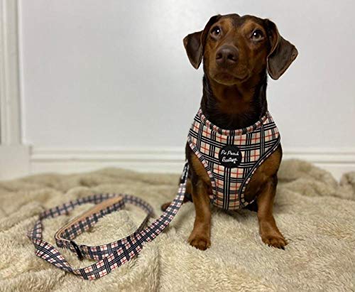 Pet Pooch Boutique Barkberry Windsor - Collar para Perro (tamaño Mediano)