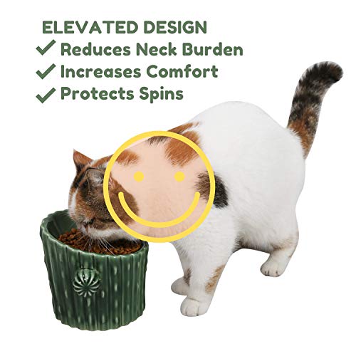 PetnPurr Cactus Raised Dog & Cat Food Bowl - Cuencos Inclinados de cerámica para Comida para Mascotas para Gatos y Perros pequeños. Protege el Cuello de tu Mascota