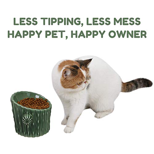 PetnPurr Cactus Raised Dog & Cat Food Bowl - Cuencos Inclinados de cerámica para Comida para Mascotas para Gatos y Perros pequeños. Protege el Cuello de tu Mascota