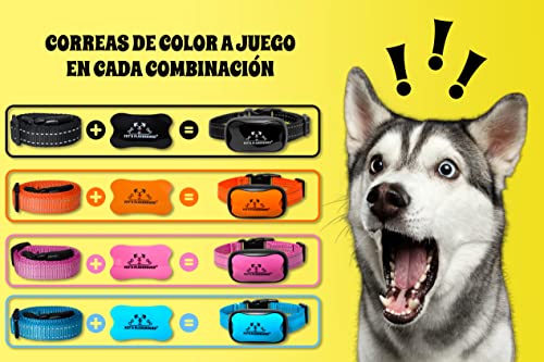 Pet's Playground ® 3 en 1 (Rosa, Azul y Negro) Collares antiladridos para Perros | 2 baterías Incluidas | Detiene los ladridos excesivos para Todas Las Razas y tamaños de Perros