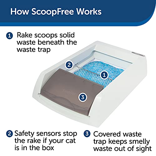 PetSafe Bandeja higiénica para gatos ScoopFree ultra autolimpiante con rastrillo automático, incluye tapa