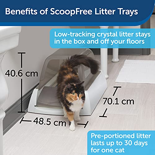 PetSafe Bandeja higiénica para gatos ScoopFree ultra autolimpiante con rastrillo automático, incluye tapa