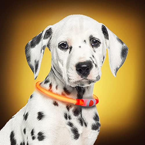 PetSol LED Collar Perro Collar de Seguridad LED Recargable Ultra Luminoso para su Mascota batería de Litio Recargable Mayor Visibilidad y Seguridad Talla única para Todos los Perros y Gatos (Naranja)