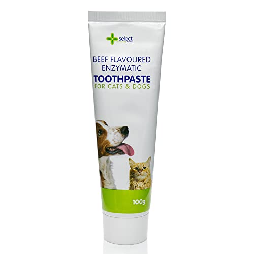 Petstoreo Pasta dentífrica enzimática para perros | Utilizada por UK Vets | 100 g - Sabor a carne - Adecuado para gatos