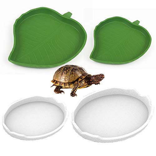 PINVNBY Hoja reptil comida plato plato plato tortuga alimentador terrario beber comer para lagarto maíz serpiente gatear mascotas 4 piezas