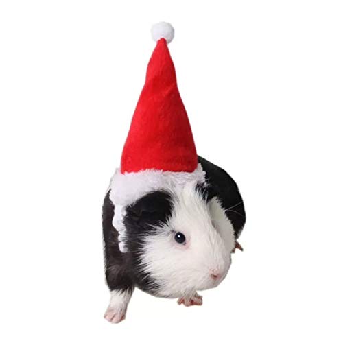 PKYGXZ Animales pequeños Sombreros para Mascotas Sombrero de Papá Noel Conejo Hámster Conejillo de Indias Ratas Festival Disfraz Gorra de Navidad con Banda Productos para Mascotas