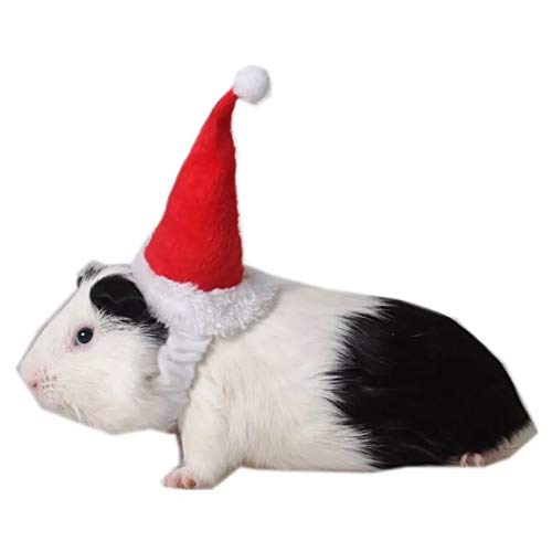 PKYGXZ Animales pequeños Sombreros para Mascotas Sombrero de Papá Noel Conejo Hámster Conejillo de Indias Ratas Festival Disfraz Gorra de Navidad con Banda Productos para Mascotas