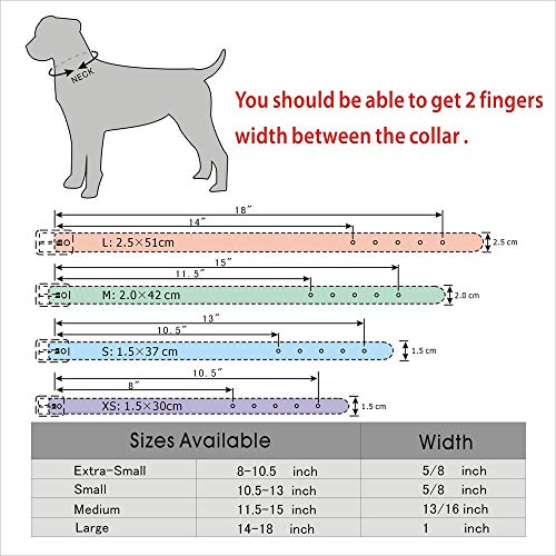 PMWLKJ Collar con Colgante de Nombre de Mascota Personalizado Collar de Cachorro de Diamantes de imitación Personalizado Collar Personalizado XS