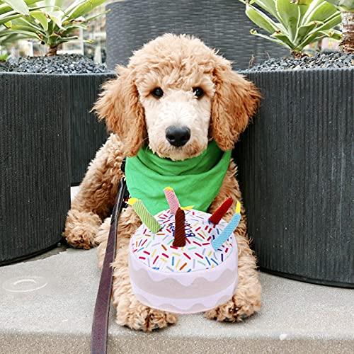 POPETPOP Creative Plush Cumpleaños Pastel de Juguete Pet molienda Juguete Suministros de cumpleaños Juguetes para Perros para Regalo