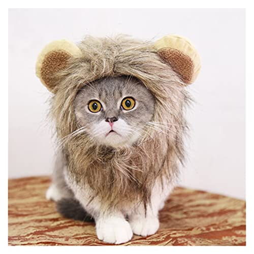 Productos para mascotas Lindo león maneja gato peluca mascota pequeño perro gatos traje león lion made peluca gorra sombrero para perros gato traje de lujo cosplay juguete suministros para mascotas
