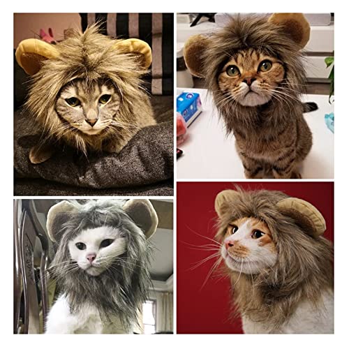 Productos para mascotas Lindo león maneja gato peluca mascota pequeño perro gatos traje león lion made peluca gorra sombrero para perros gato traje de lujo cosplay juguete suministros para mascotas