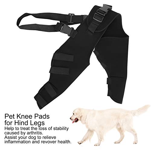 Protector de Patas traseras para Perros, Rodilleras Ajustables Soporte para piernas Abrazaderas para Perros Patas traseras protección para Perros recuperación(XS-Negro)