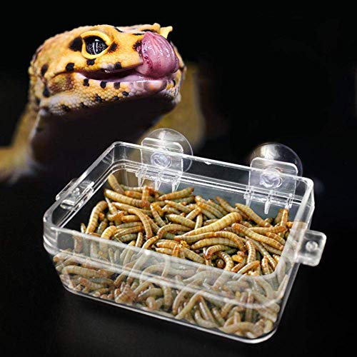 Pssopp Alimentador de Reptiles Plato Anfibios Alimento Tazón de Agua Cuenca de alimentación de lombriz Anti-Escape con Ventosa para Tortuga Gecko Serpientes Lagarto Araña