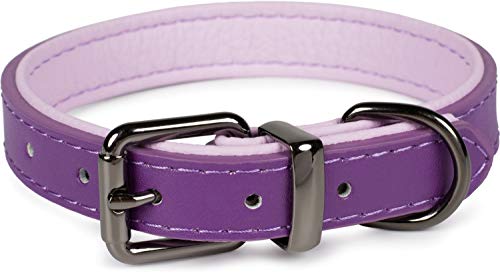 Puccybell Collar para perro de 2 colores con piel, clásico en colores de contraste para perros pequeños, medianos y grandes, HB004 (S, morado)