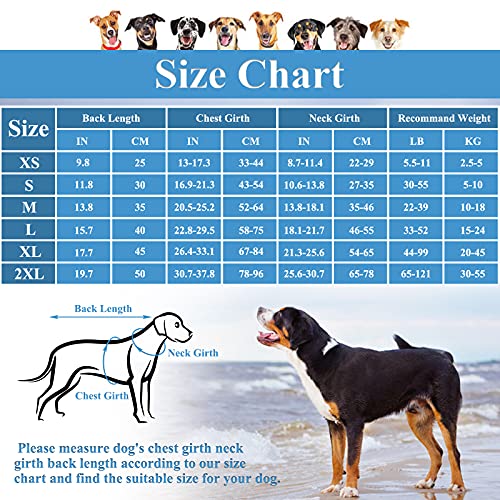 PUMYPOREITY Chaleco Salvavidas para Perros Mascotas Chaqueta Chaleco de Seguridad Perro Perrito Ropa de Baño para Perros pequeños, medianos, Grandes(Azul, M)