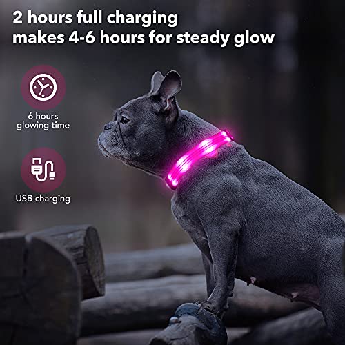 PZRLit Collar Luminoso Perro Recargable con 3 Modos de iluminación Collar Luz Perro Noche de Seguridad, Ajustable para Cachorros Pequeños, Medianos y Grandes Collar LED Perro Luminoso-Rosado,Medio