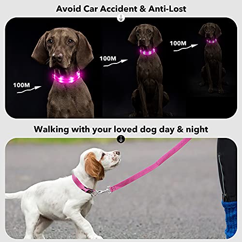 PZRLit Collar Luminoso Perro Recargable con 3 Modos de iluminación Collar Luz Perro Noche de Seguridad, Ajustable para Cachorros Pequeños, Medianos y Grandes Collar LED Perro Luminoso-Rosado,Medio